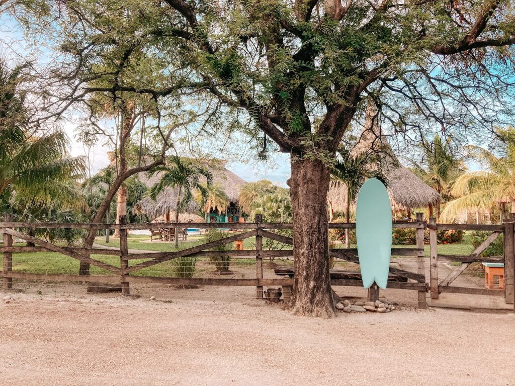 a surfboard leaning against a fence