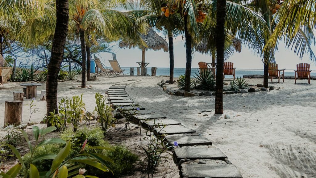 a path leading to a beach